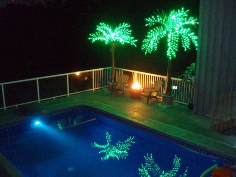 Most Realistic LED Lighted Palm Tree   10 ft. tall  